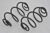 AUTOMEGA 3004240029 Coil Spring